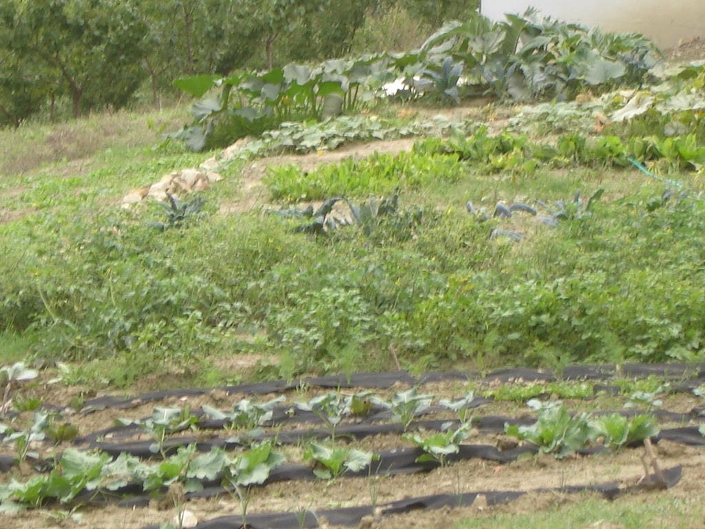 Alojamento de Acomodação e Pequeno-almoço Casa Dell' Abbondanza
