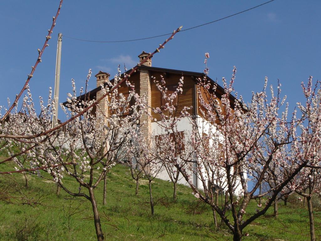 Casa Dell' Abbondanza
