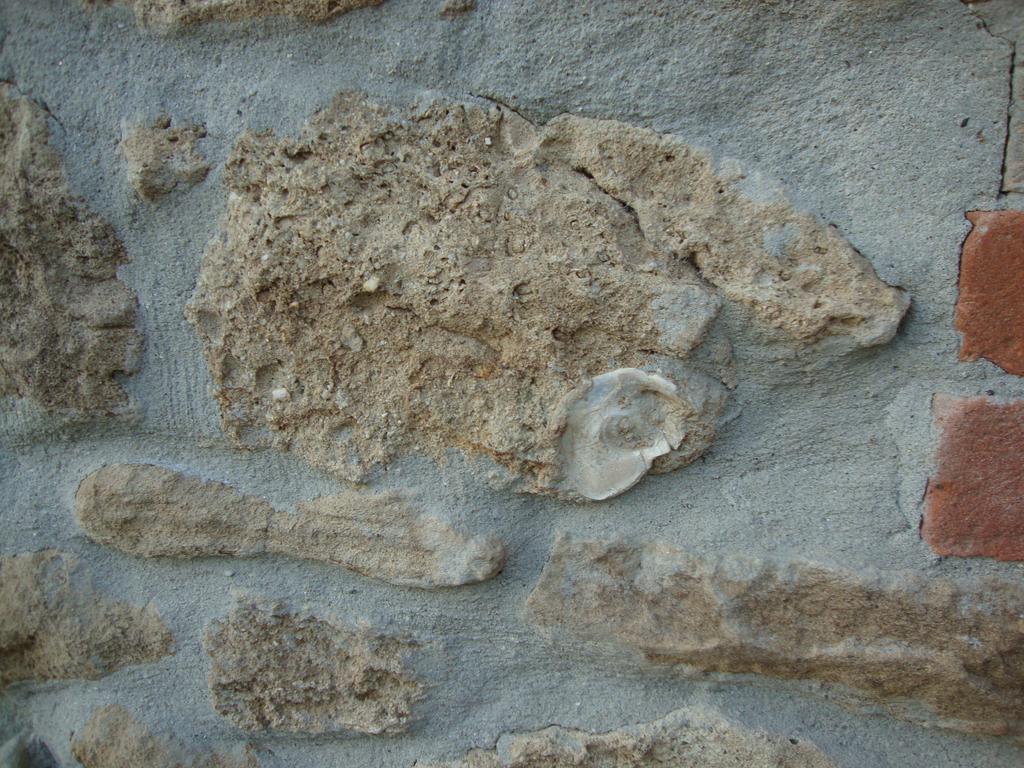 Casa Dell' Abbondanza * Vigoleno